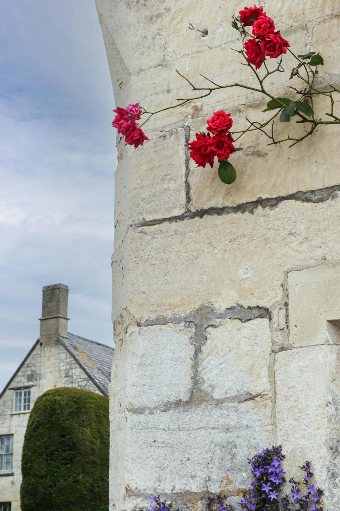 Bright & Beautiful Open Plan Coach House Painswick Villa Exterior photo